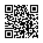 Handy-Version Koblenz Rahmenprogramm